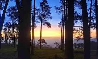 Imagem: Terrenos 1500m2 em Mairiporã! Garanta agora