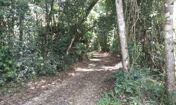 Imagem 3: Vendo sítio em santa Maria de Jetibá