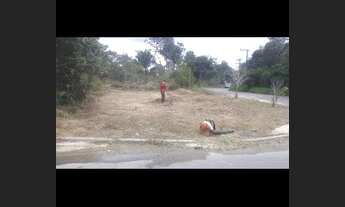 Imagem 3: Vende-se terreno