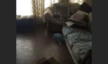 Imagem 4: CASA ASSOBRADADA - PLANALTO PAULISTA - SP