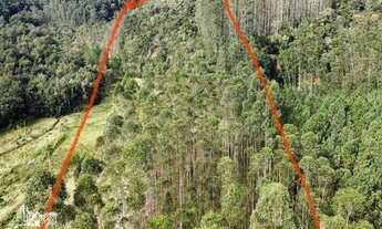 Imagem 6: Sitio a venda em Benedito Novo