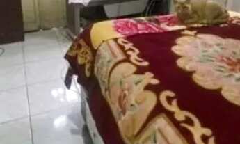 Imagem 4: SOBRADO - SANTO AMARO - SP