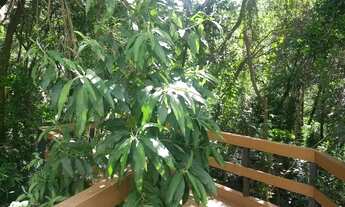 Imagem 2: Apartamento para aluguel com 39 metros quadrados com 1 quarto em Jardim Ampliação - São Pa