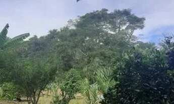 Imagem 2: Chácara Chácara com venda por R$199.000