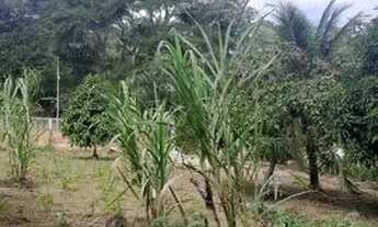 Imagem 4: Chácara Chácara com venda por R$199.000