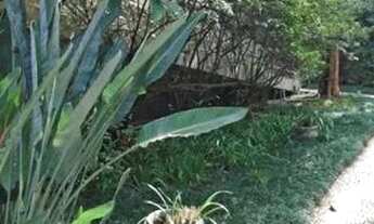 Imagem 5: CASA ASSOBRADADA - PACAEMBÚ - SP