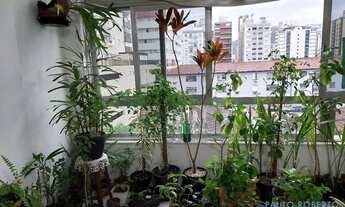 Imagem 5: APARTAMENTO - GONZAGA - SP