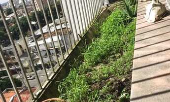 Imagem 5: Alugo apartamento Ed Umuarama 88 m² com 2/4 1vg de garagem - Bairro: Umarizal