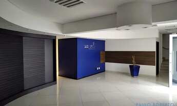 Imagem 5: GALPÃO - CHÁCARA SANTO ANTONIO - SP