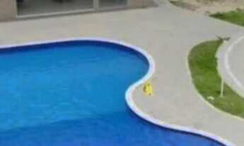 Imagem: Apartamento Para alugar