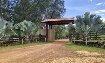 Imagem 7: A mais barata da ponte alta