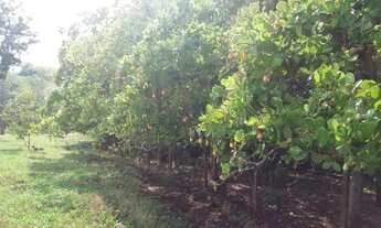 Imagem 7: Chácara para Venda em Bela Vista de Goiás, Zona Rural, 6 dormitórios, 3 suítes, 4 banheiro