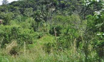 Imagem 4: Vendo Excelente Terreno No Fidélis