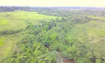 Imagem 6: Fazenda 204 hc em rorainopolis