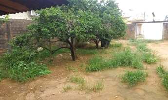 Imagem 4: Vendo casa em Porto nacional