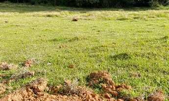 Imagem 6: LL- Vende- se terreno com ótima topografia