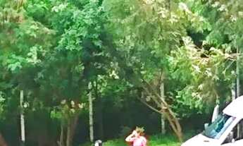 Imagem 6: Apartamento 60m² à venda em Veloso, Osasco/SP