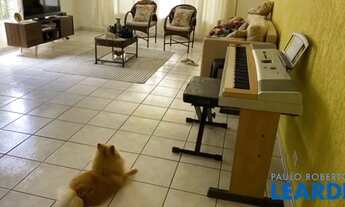 Imagem 4: CASA ASSOBRADADA - BUTANTÃ - SP