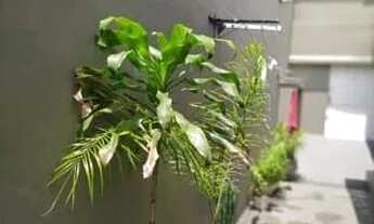 Imagem 2: Kitnet Residencial para locação, Vila Butantã, São Paulo - KN0177