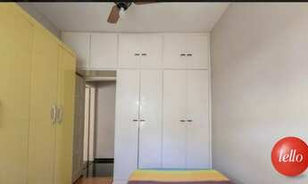 Imagem 3: São Paulo - Casa Padrão - Santana