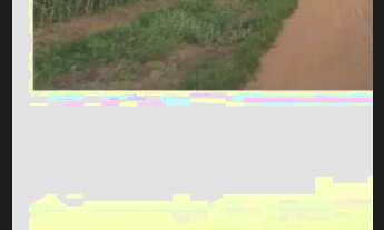 Imagem 7: Fazenda 9.500hect no Campos de Júlio MT. 5 mil abertos 300 milhões