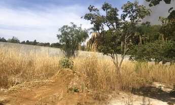 Imagem 4: Vendo lote 800m2 ponte alta norte, br 475