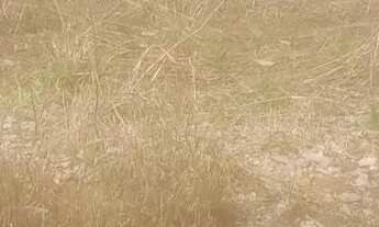 Imagem 3: Chacaras na região di jardim mateus leme