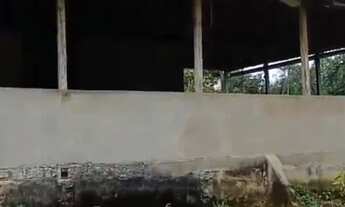 Imagem 4: Terreno 46 hectares próximo de Manaus