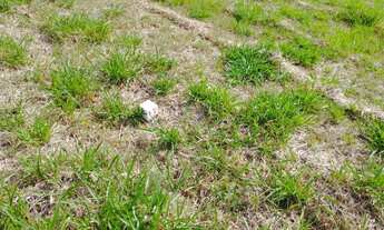 Imagem 2: Paradise Gardens - Terreno em Condomínio Fechado, à venda em Mogi das Cruzes - SP