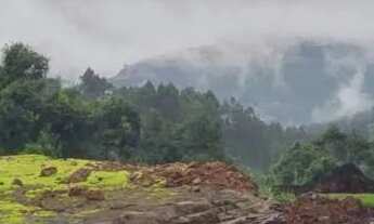 Imagem 2: Sitio - Bairro Pinhal Alto