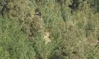 Imagem 2: Vendo chácara com aproximadamente 7 hectares