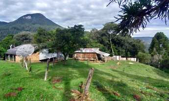 Imagem 5: Sítio à Venda em Canela!