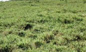 Imagem 6: Vendo excelente Fazenda em inhambupe