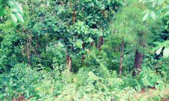 Imagem 3: Terreno a venda na Vargem Pequena