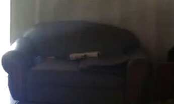 Imagem 4: Chacara paraiso apenas 147 mil reais