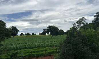 Imagem 7: Fazenda a venda em Trindade / Goiás!!!