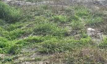 Imagem 6: Vendo terreno de esquina no Barra Mar 2