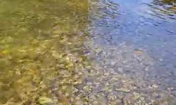 Imagem 6: CHÁCARA DE SONHO RIO COXIPÓ D?OURO