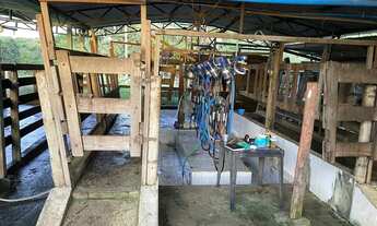 Imagem 3: Ótima chácara em Itaberaí