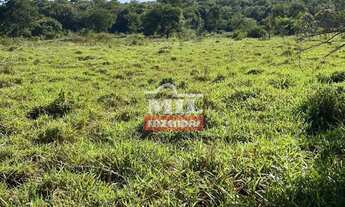 Imagem 4: Fazenda 33 alqueires (159,72 hectares) Edeia - GO