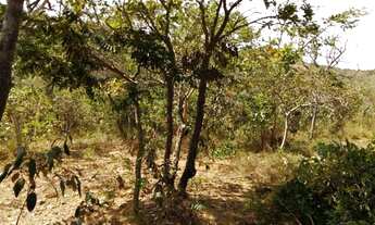 Imagem 6: Vendo chácara de mil metros quadrados em São José do Almeida próximo à Serra Do Cipó
