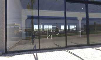 Imagem 6: Loja Comercial de frente à Rodovia Raposo Tavares