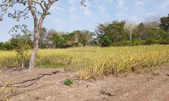 Imagem 7: Sítio de 34 hectares no assentamento comunidade sadia 3