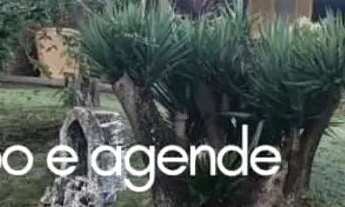 Imagem: Excelente sítio para carnaval,feriados,finais