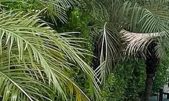 Imagem 4: VENDO APARTAMENTO NO CONDOMÍNIO SPAZIO SOLARIUM EM LAURO DE FREIRAS