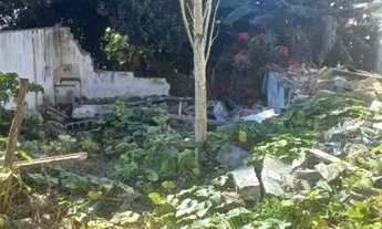 Imagem 4: AREA - DOS CASA - SP