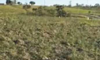 Imagem: Terrenos na cidade de Araçoiaba - SP