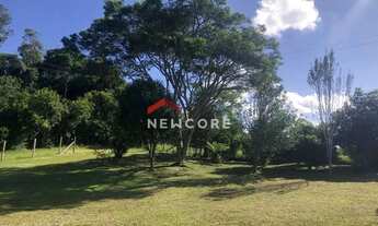 Imagem 3: Chácara em Rua Campestre - Colônia Murici - São José dos Pinhais/PR