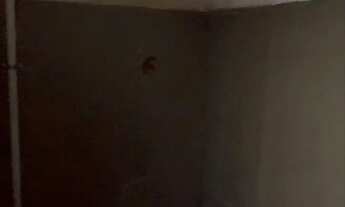 Imagem 2: Aluguel casa Kitinete 2 quartos Ceilândia Norte