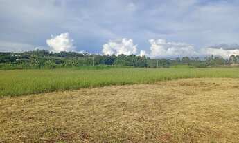 Imagem: Lote no recanto das emas